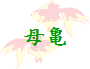 ��T